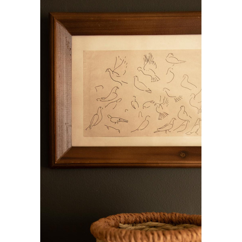 Ensemble de trois oiseaux encadrés sous verre