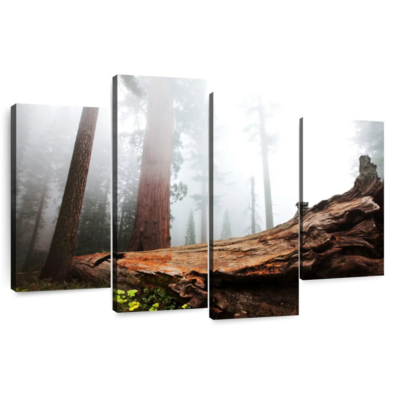 Harnek Fallen Sequoia Tree, 27" H x 43" W