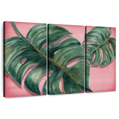Feuilles Harnek Bright Monstera