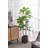 Pot Planter-69174204
