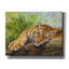 «Bungalow Rose» Tiger Cub Rock2 par David Stribble, art mural sur toile-695964473
