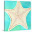 Starfish Dots by Nicola Joyner - Wrapped Canvas Painting-266755670