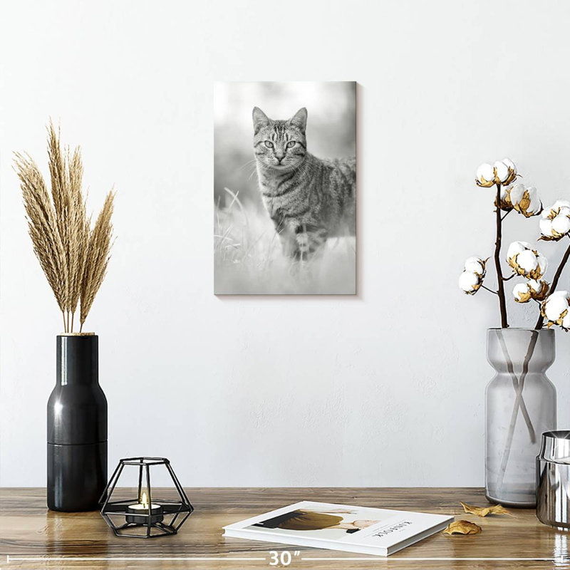 Chat gris Brampt, H 12 po x l 8 po