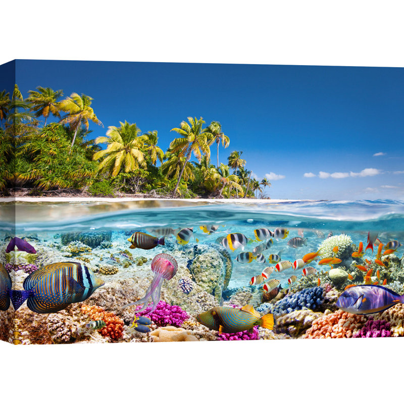 3AP5603 Underwater Life by Pangea Images - Wrapped Canvas Art Prints, 70cm H x 100cm W x 4cm D