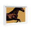 Hue Equine II Framed Graphic Art-724841019-614038994
