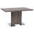 Loya Dining Table-50349902