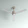 Chandrika 52" 3 - Blade LED Modern Indoor Standard Ceiling Fan with Light and Remote Control