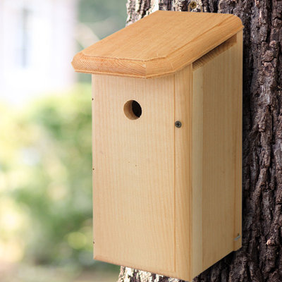 Shaelea House Wren Bird House