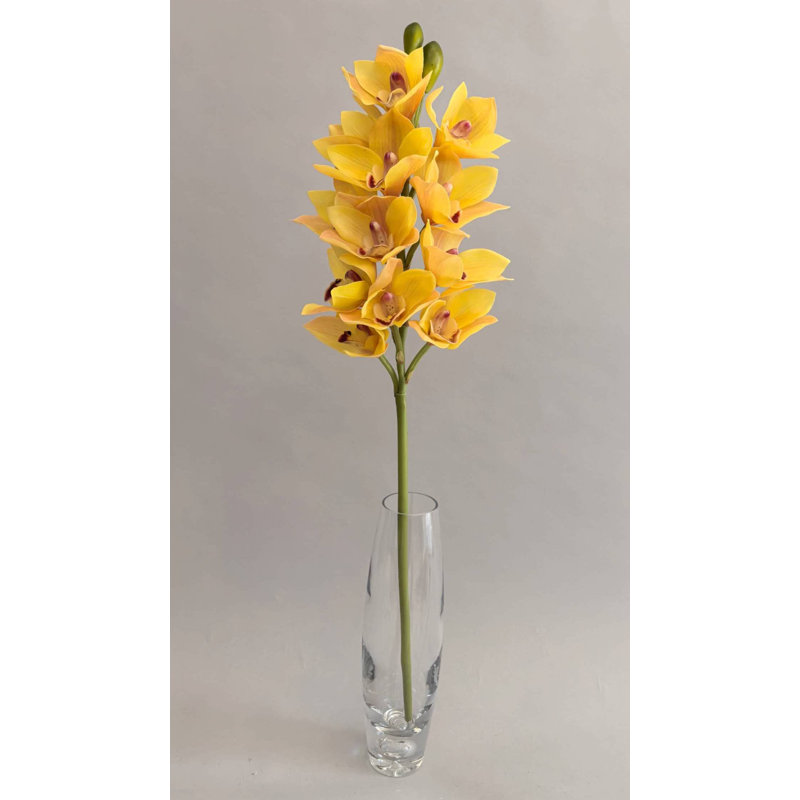 CYMBIDIUM BLOOMS PU 12'', White