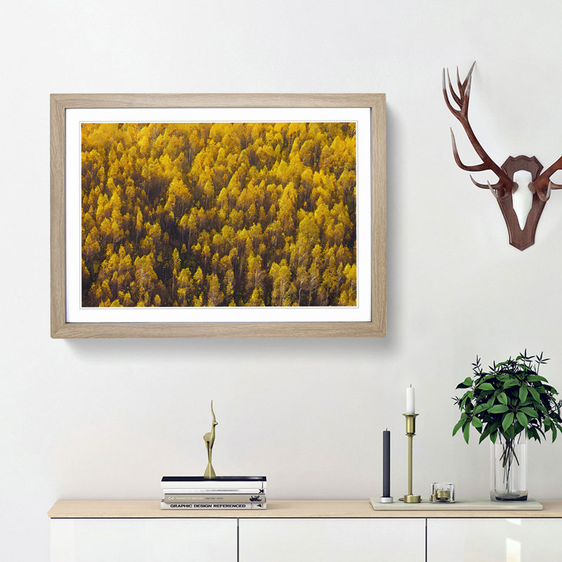 Golden Forest - Picture Frame Graphic Art Print, Oak Framed, 62cm H x 87cm W x 2cm D
