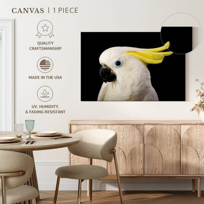 Brampt Sulfur Crested Cockatoo Head