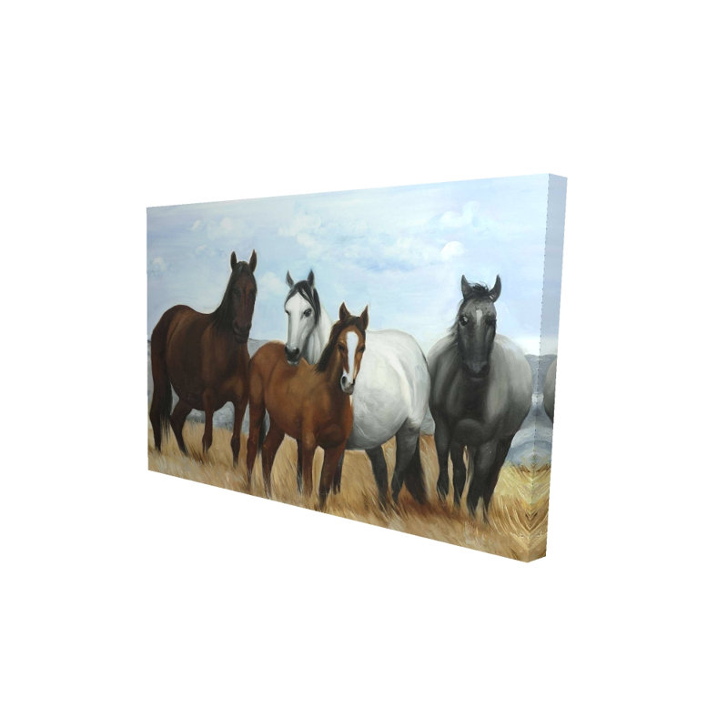 Chevaux dans la prairie sur toile | Décoration de chambre rustique