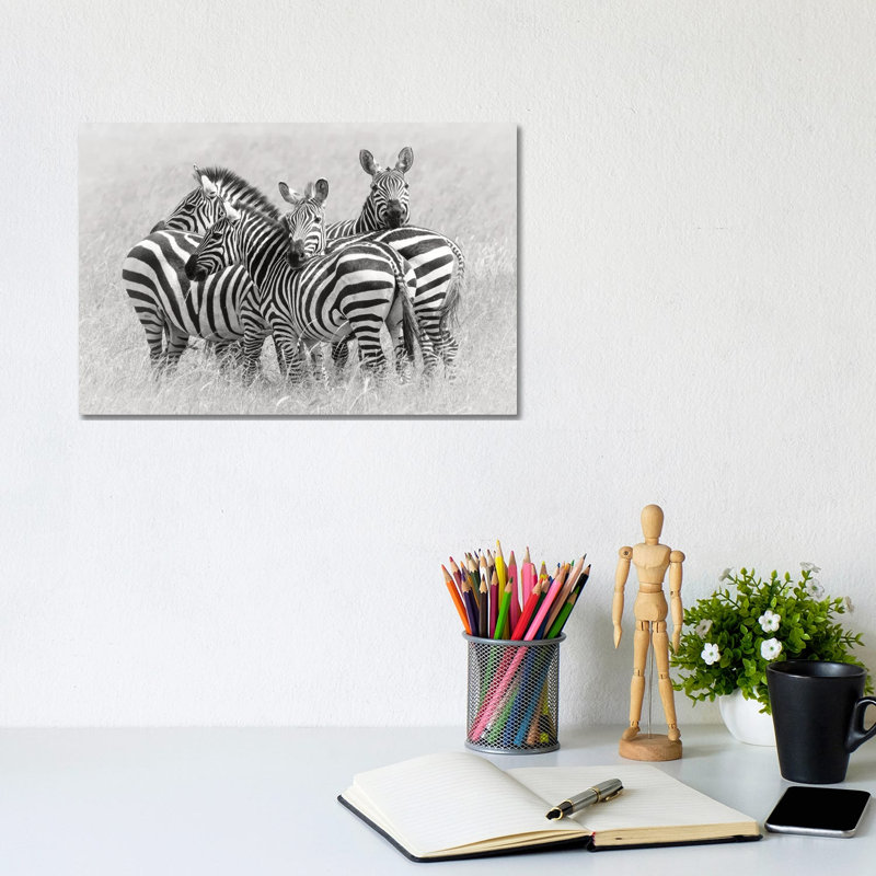 Zebras by Kirill Trubitsyn - Wrapped Canvas Print, 20.32 cm H x 30.48 cm W