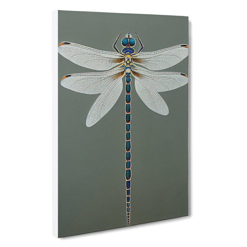 Breathtaking Dragonfly - Wrapped Canvas, 50cm H x 35cm W x 3cm D