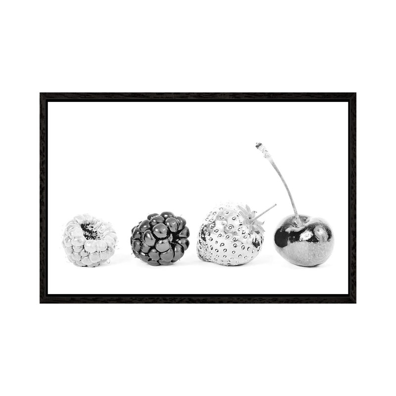 Silver Fruits by Kiki C Landon - Print on Canvas, 45.72cm H x 66.04cm W x 3.81cm D, Black Framed