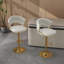 Christal Height Adjustable Swivel Bar Stool-1824469461-1824469456