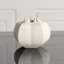 Star Fruit Vase-11372810