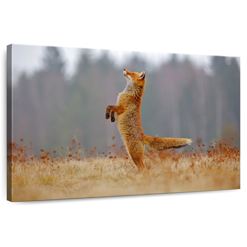 Support de renard, H 26 po x l 39 po
