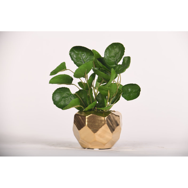 Faux Eucalyptus Plant in Ceramic Planter