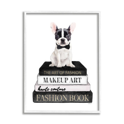 Fancy Boston Terrier