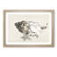 Starfish and Seashells by Kono Bairei - Picture Frame Painting Print-55729908-55729903
