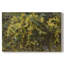 Paysage rétro - CCDVI - Toile tendue avec châssis-634814349-636410938