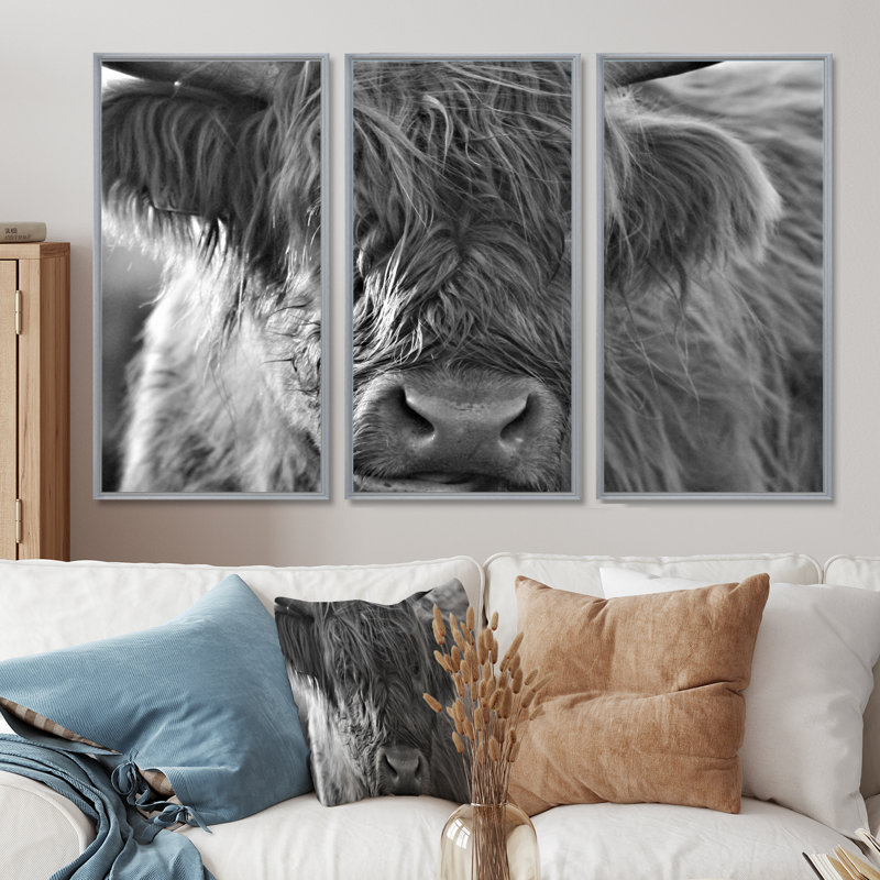 «Scottish Highland Cows Living On Moorland», 3 pièces sur toile, cadre flottant, H 32 po x l 48 po, Argent