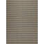 Striped Area Rug in Gray/Beige