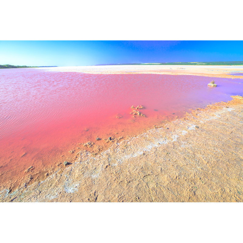 Pink Salt Lake - Wrapped Canvas Print, 51cm H x 76cm W