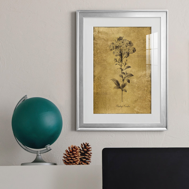 Reproduction d'art encadrée dorée Botanical II, H 30,5 po x l 22,5 po x P 1,5 po, Argent
