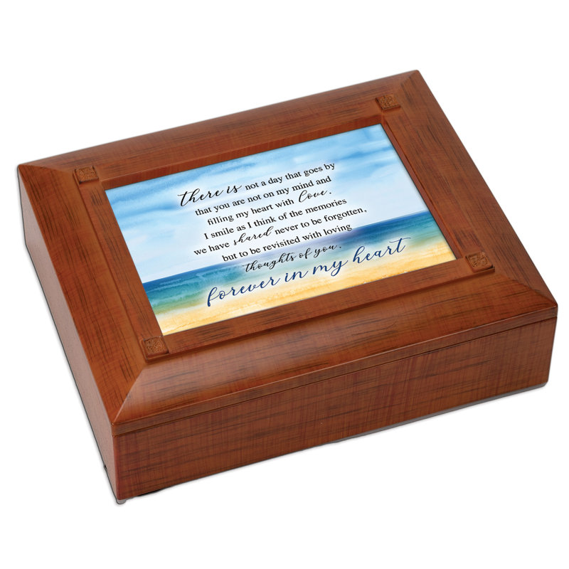 Plastic Memory Box