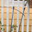 Goldenberg Steel Fan Trellis-2119221595