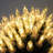 6.7'' String Lights