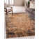 Cevenola Oriental Indoor Rug