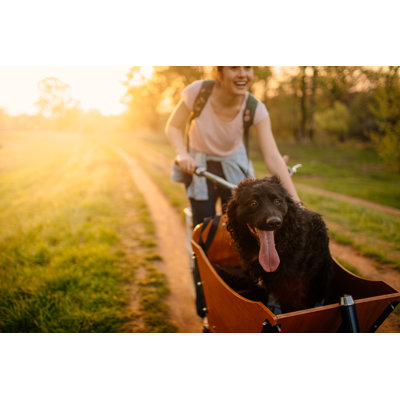 Going For A Ride With My Dog by AleksandarNakic - No Frame Art Prints on Canvas