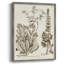 «Sepia Botanical Journal IV», reproduction encadrée - bois massif-2063927865