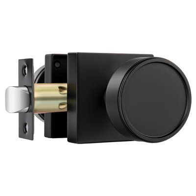 Poignées de porte factices en or brossé, poignée factice en laiton brossé sans rotation pour portes de placard, serrures de porte en alliage de zinc (1 paquet/2 pièces)