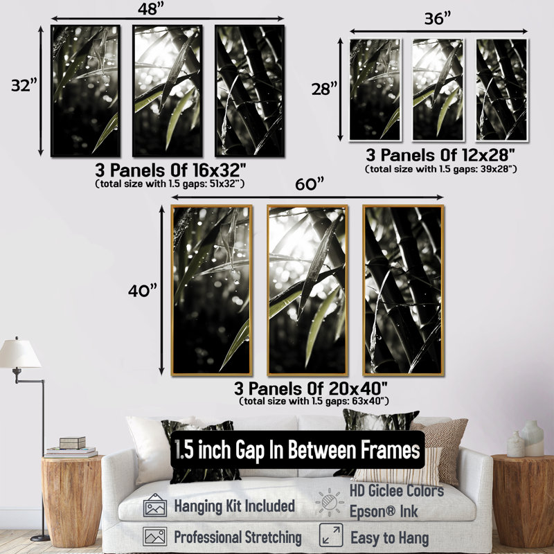 Ensemble de photos murales en bambou noir et blanc, H 40 po x l 60 po x P 1 po, Cadre flottant blanc