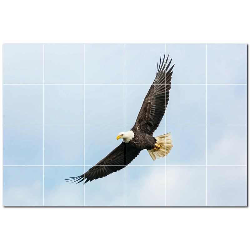 Photo d'oiseau 8 x 8