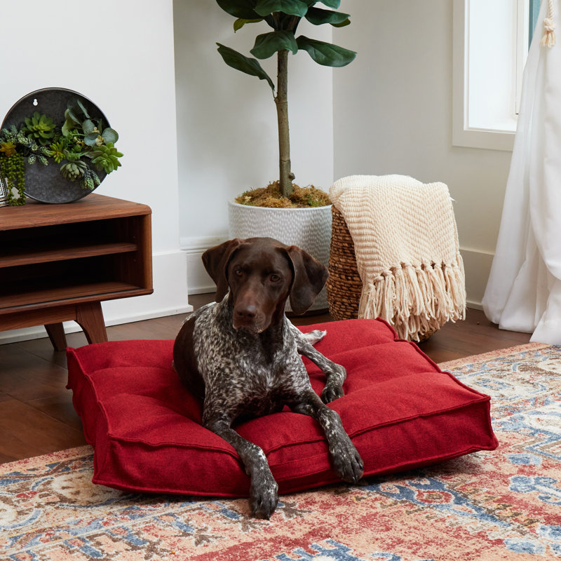 Lit pour chien Longwood, Rouge écarlate, Moyen (l 32 po x P 32 po x H 5 po)