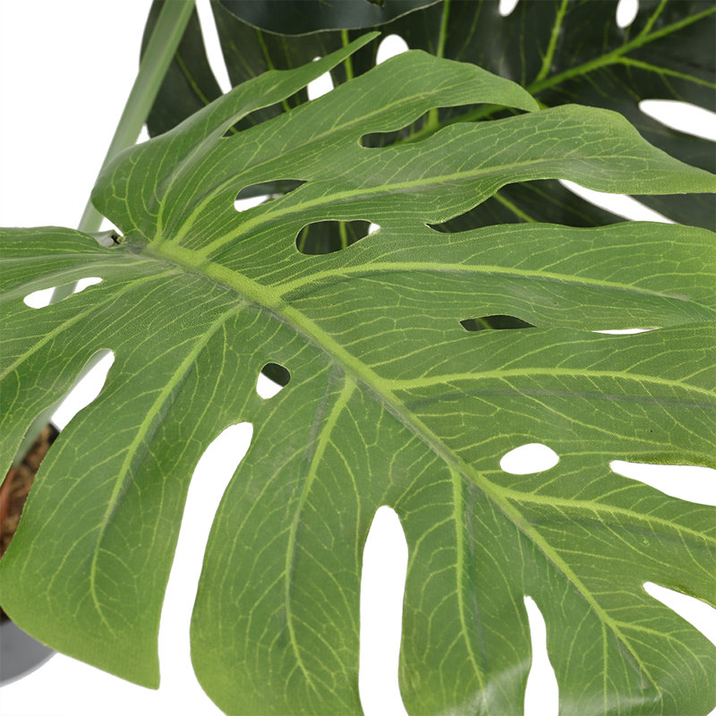 Faux Plant in Plastic Freestanding  Planter, 85cm H x 50cm W x 50cm D