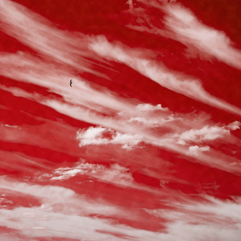 Sky High In Red, 30" H x 30" W, Black