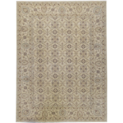 Hand-Knotted High-Quality Beige Area Rug