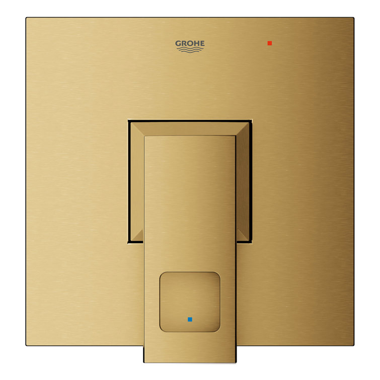 Euphoria Pressure Balance Valve Trim with Cartridge