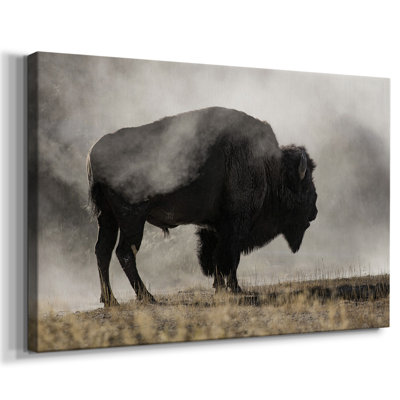 Geyser Basin-Gallery Wrapped Canvas
