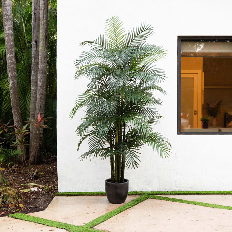Plante, 108"
