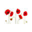 Adhésif décoratif coquelicot