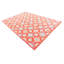 Tapis rouge Nebeker