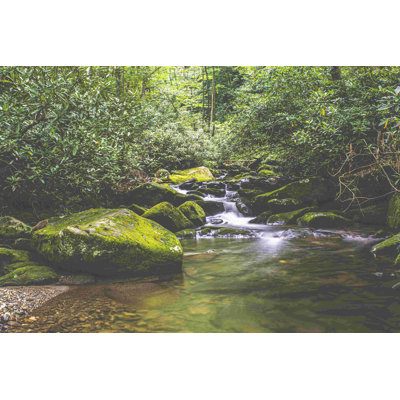 " Forest River Photography "