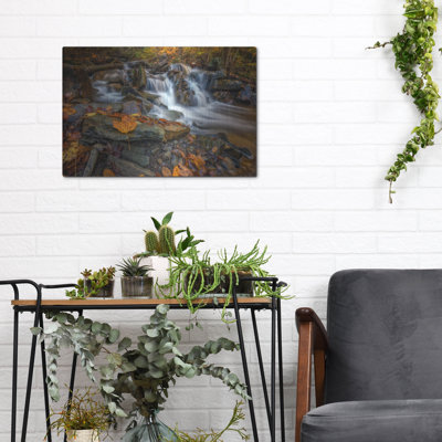 Millwood Pines 'Fallen Leaf In Ricketts Glen' by Rick Berk Metal Wall